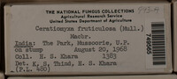Image Associated With the Occurence